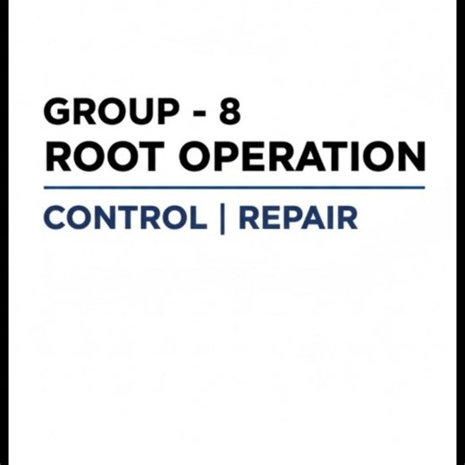 ICD 10 PCS - ROOT OPERATIONS GROUP-8