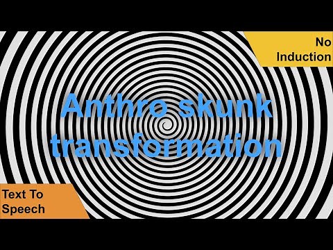 Anthro skunk transformation hypnosis (no induction)