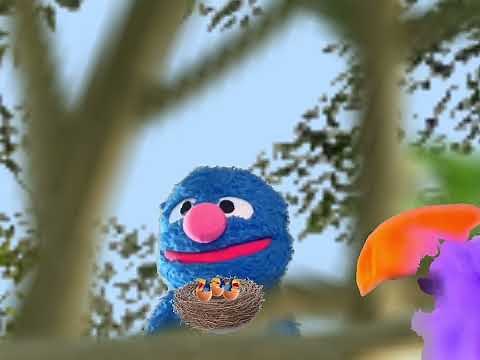 Sesame Street Grover birds nest mom