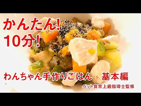 簡単！１０分！ペット食育上級指導士監修：わんちゃんの手作りごはんの作り方（基本編）