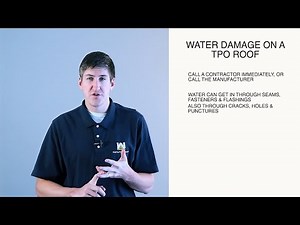Water Damage On TPO Roof (What You Should Do Immediately)