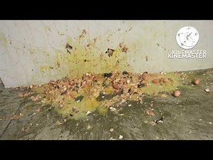 How To Skin And Debone Fish By Howtobasic (Don't Egg The Fish - My Favorite - 10 Seconds)