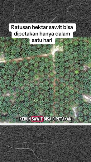 Butuh jasa mapping? Atau mau belajar ArcGIS Map dari nol biar bisa petakan lahan sendiri? Semua bisa Untuk harga dan info kelas, langsung aja klik link di bio ya! #kelapasawit #mapping #perkebunansawit
