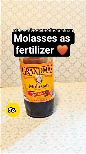 Using molasses as a fertilizer? #fertlizer #organicgardening