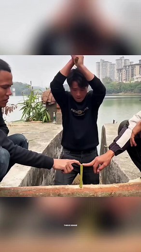 8.2K reactions · 1.1K shares | 4 illegal website for you . . . #tipsandtricks #techreels #secrettips #secretwebsite #website #illegal #techtips #number #trendingreels #viralreels #tips #techreel | Thrive Sensie | Facebook