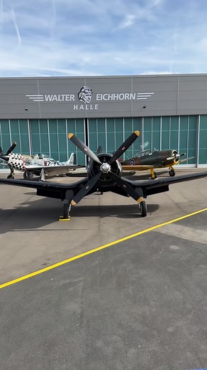 3K views · 3K reactions | Corsair, Harvard, Mustang… You already know which bird didn’t show up.  #aviation #warbirds #spitfire #mustang #corsair #harvard #aviationlovers #pilotlife #aviatrix #vintageaviation #flyhigh #aviationdaily #aviationgeek #flying #planespotting #aviationaddict #flywithpassion | Flying Legends | Facebook