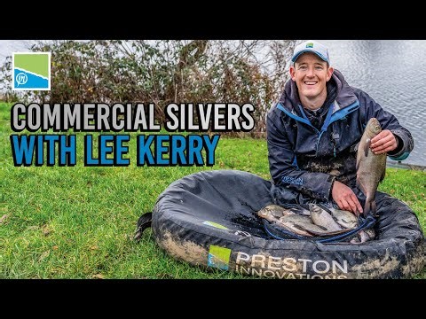 SIMPLIFY Your Commercial Silverfish Approach! 😎 Lee Kerry