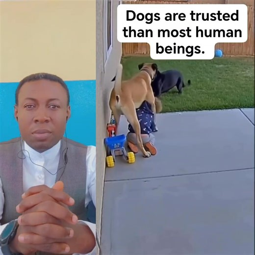 2.2M views · 44K reactions | Wow, the Dog save the baby | Oheneba Eagle Oppong | Facebook