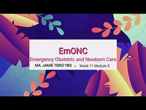 BEmONC and CEmONC