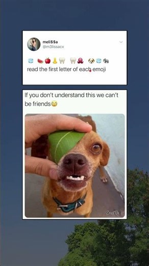 Can You Decode This Hidden Message? 🤫🧩 #nobatidao #meme #memes #funny #funnymemes #trending