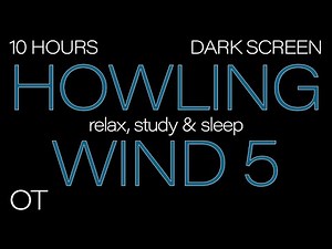 HOWLING WIND Sounds for Sleeping| Relaxing| Studying| BLACK SCREEN| Real Storm Sounds| 10 HOURS VER5