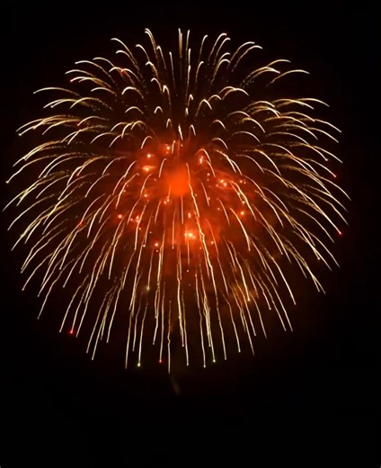 A Collection of Large Firework Blooms – Let You Enjoy to Your Heart's Content. #Fireworks #LiuyangFireworks #Romance #NightSky #Gathering #Tourism | Radiant Fireworks