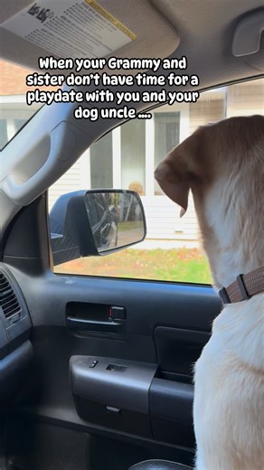 Sarah Sutherland on Instagram: "You just have to stare at each other through the glass and hope they will let you play next time 😅"