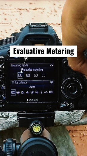 Metering Modes #photography #tips #exposuretriangle #exposure #meter #fyp #foryou #dslr #canon