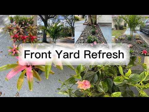 Side Yard Refresh