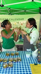 It’s hot, but making something delicious at home doesn’t have to be. Chef Nin’s summer squash with Moroccan chemoula checks all the right boxes 🥗 This month at the @unsqgreenmarket we’re highlighting the best in-season produce (and giving you your new favorite salad recipe). Summer squash and zucchini: @halalpasturesfarm ✅ Cilantro: @willowwisporganicfarm ✅ Parsley: @migliorellifarm ✅ Head to the @unsqgreenmarket this summer for the best seasonal produce 💪 Recipe in @iceculinary bio 🌟 #ICEcul