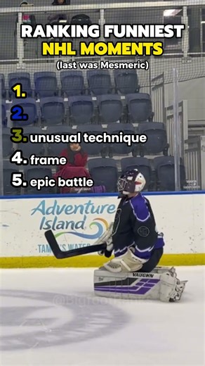 Ranking The funniest NHL moments