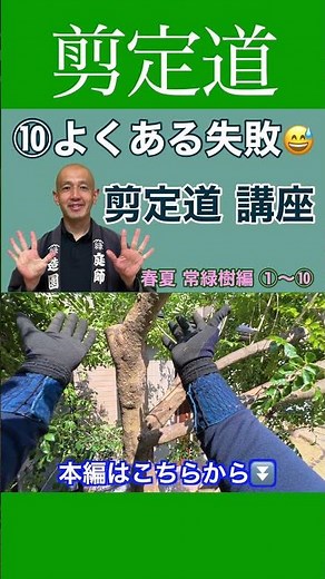 《確かに大変！！》 今後の管理に関わる よくある失敗はコレです #剪定方法 #庭作業 #庭木の管理 #安全管理 #事故 #怪我 #失敗 #経験雛形 3