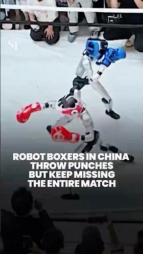 Fight night fail: Robot boxers in China throw punches that land on thin air