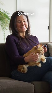 21 reactions | The best GPS Pet Tracker for pet lovers!   Live Tracking: Know where your pet is in real-time  Get alerted when your pet leaves the designated area  Track your pet's health and fitness levels  View all the places your pet has explored  100% Waterproof Join the thousands of pet lovers who trust Tractive to keep their pets safe. Order now and track your pet's adventures! | Tractive | Facebook