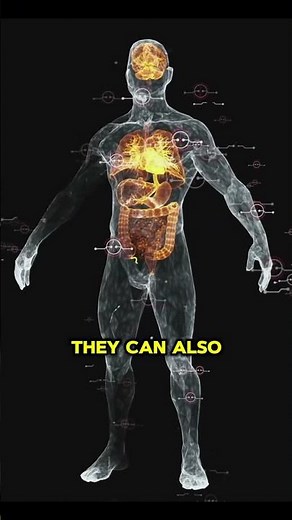 Stem Cell Therapy Explained: Autologous vs. Allogeneic Treatments