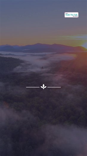 Sometimes healing doesn’t need words… Just a gentle hum. Humming...