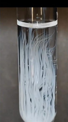 Silver Nitrate + Ammonium Chloride Reaction | Beautiful AgCl Precipitation Experiment