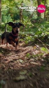 Proactive health and life insurance that helps you live longer, healthier, happier life. Move forward with Vitality. | Vitality UK