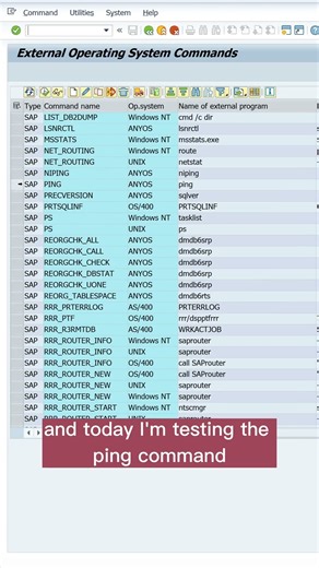 SAP Hack: OS commands without OS access 🛠️
