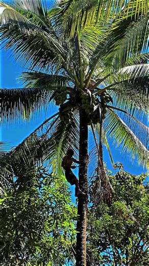 #thaiconcept #xrm125streetbike #trend #fyp #foryou