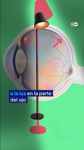 ¿Ves puntitos o manchas en tu visión? Esto es lo que realmente sucede en tu ojo