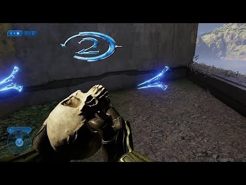 Halo 2 : Regret | Terminal and Assassins Skull