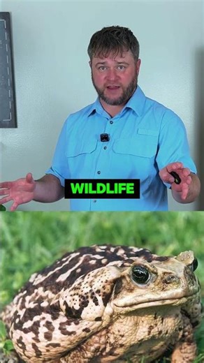 Florida Has an Invasive Species Problem!