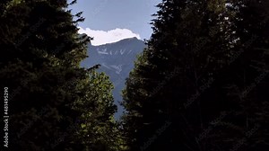 Cinematic Push In Deep Dark Forest Looking Up To See Bright High Mountain Top