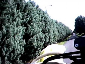 impennate wheelies crf 450