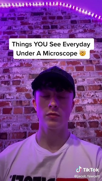 Things YOU See Everyday Under A Microscope 🤯 #fyp #wow #extraordinary #viral