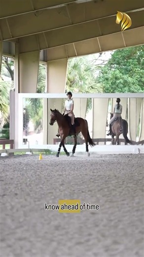 Ride a test #dressagetips #ridingtips #equestrian