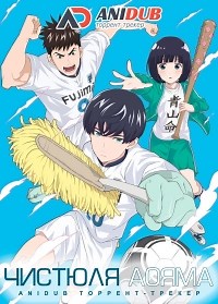 Сериал Чистюля Аояма Keppeki Danshi! Aoyama-kun смотреть онлайн бесплатно!