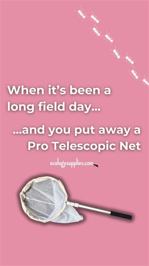 Ecology Supplies on Instagram: "Just counting down the days for… ✨Pro Telescopic Net Weather ✨ ☀️🪲🦋🪩🕺 #entomology #entomologist #insectcollecting #fieldworkresearch"