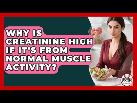 Why Is Creatinine High If It's From Normal Muscle Activity? - Chronic Kidney Support
