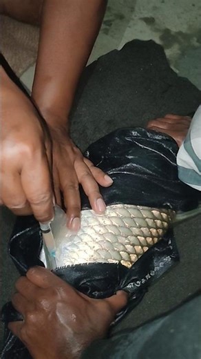 Big Glass Cup Fish Induction #fishing #shorts