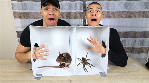 Was ist in der Box? Die Extreme Challenge mit Kelvin & Marvin