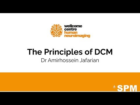The Principles of Dynamic Causal Modelling (DCM) | Dr Amirhossein Jafarian | SPM for EEG and MEG