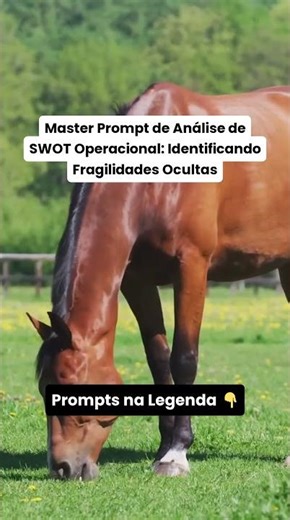 Prompt SWOT Operacional @PauloeNathanoficial @hypex.cortes #HypexCortes #NaoCoracaoHX