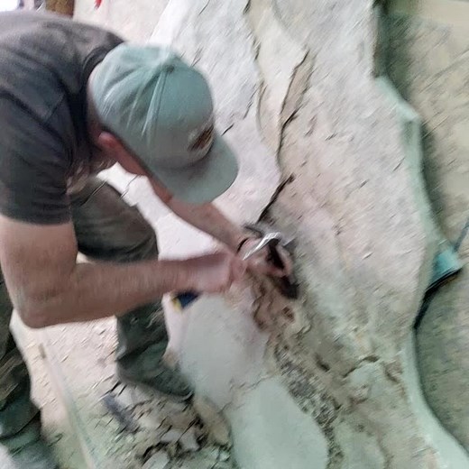 #TeamUSATryout #fossils #fish #paleontologytiktok #paleontology#love #TWDSurvivalChallenge #trending #evolution #fossiltok #geology #fyp #fossil #wy