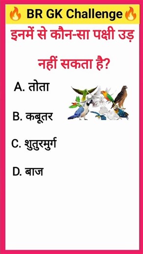 Birds GK Quiz: Who Can’t Fly? | Gk_br_04 | #gk #viral #shorts