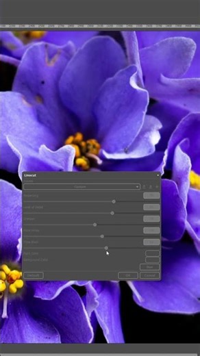 Transform photos into bold linocut art!