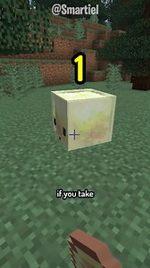 Minecraft Sulfur Cube Trap Tutorial (Shorts Guide)