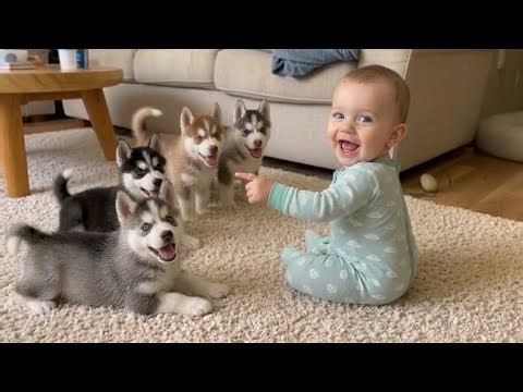 Heart-Melting Moments ❤️ Baby Meets Playful Puppies | Cutest Baby & Dogs Compilation 🥰🐾