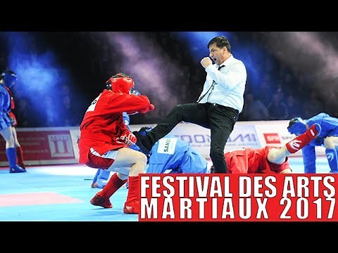 SAMBO AU 32EME FESTIVAL DES ARTS MARTIAUX